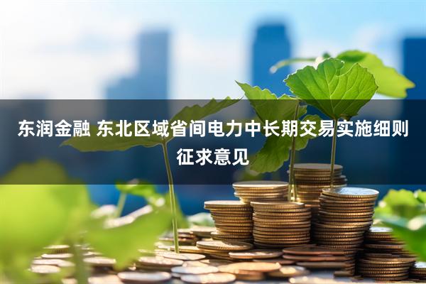 东润金融 东北区域省间电力中长期交易实施细则征求意见